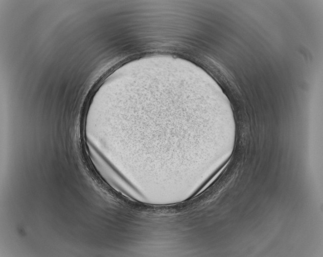 X0000113000884200909241259