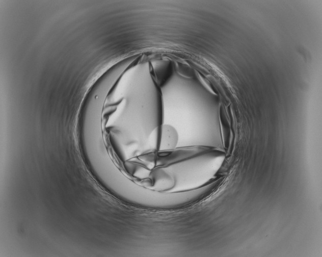 X0000113000885200909241259