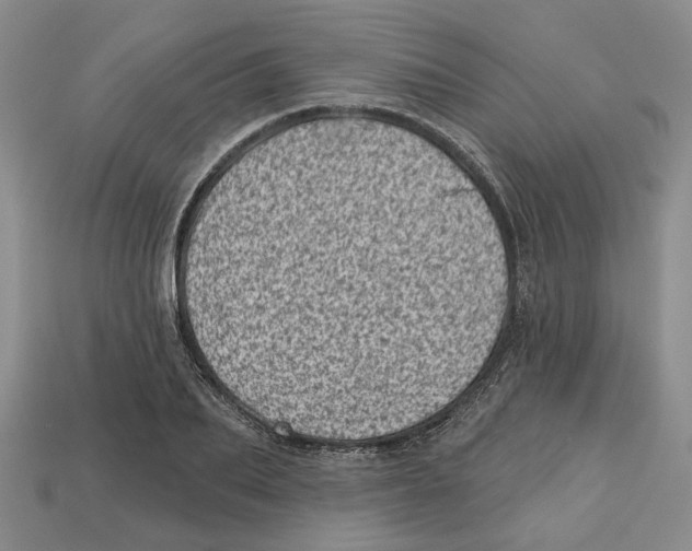 X0000113000887200909241259