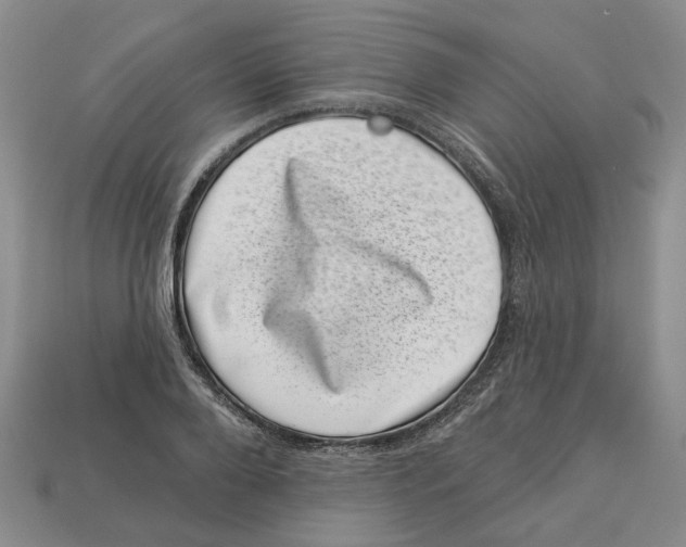 X0000113000888200909241259