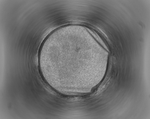 X0000113000891200909241259