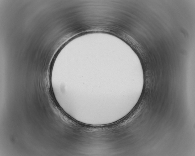 X0000113000892200909241259