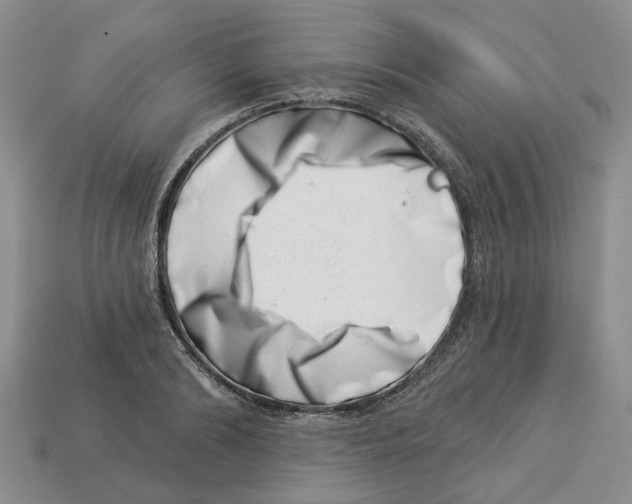 X0000113000894200909241259