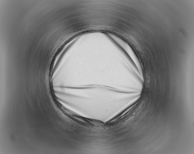 X0000113000895200909241259