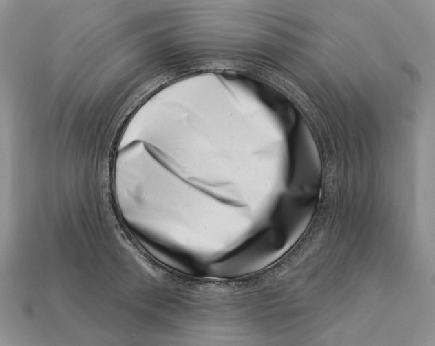 X0000113000898200909241259