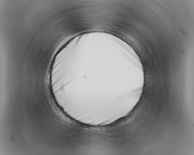 X0000113000900200909241259