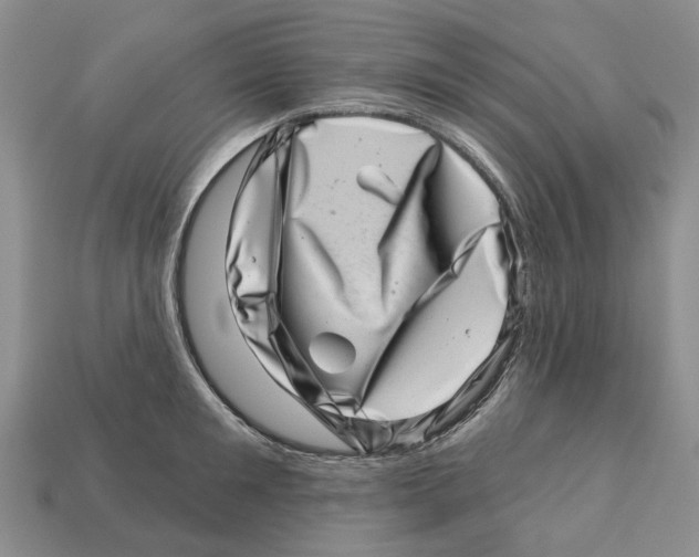 X0000113000901200909241259