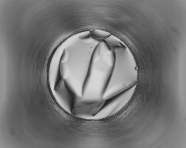 X0000113000902200909241259