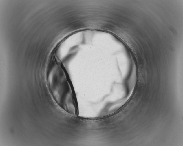 X0000113000904200909241259