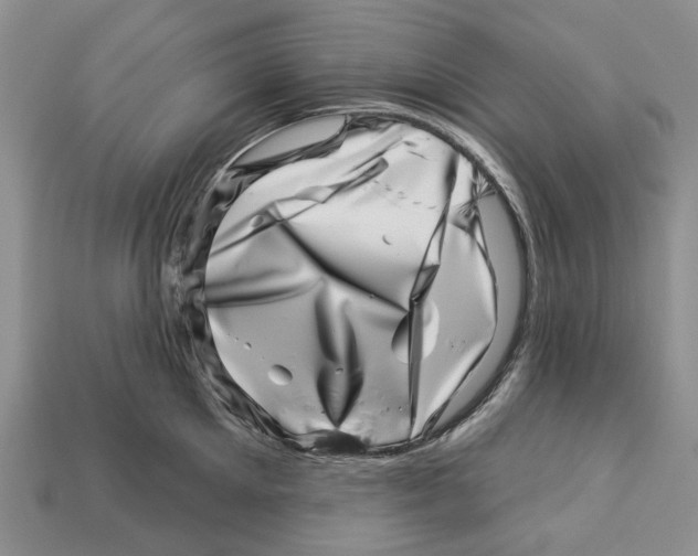 X0000113000905200909241259