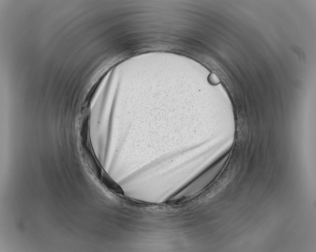 X0000113000906200909241259