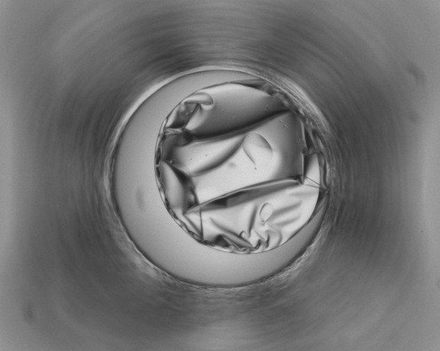 X0000113000908200909241259