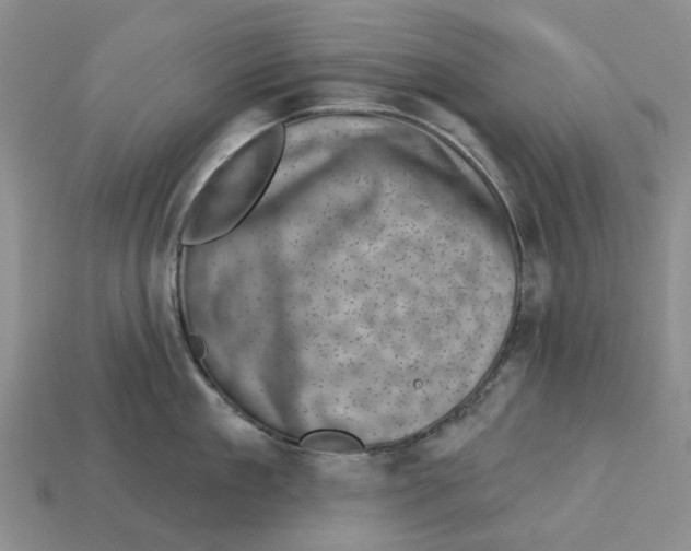 X0000113000909200909241259