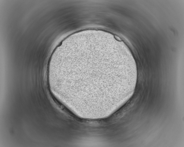 X0000113000911200909241259