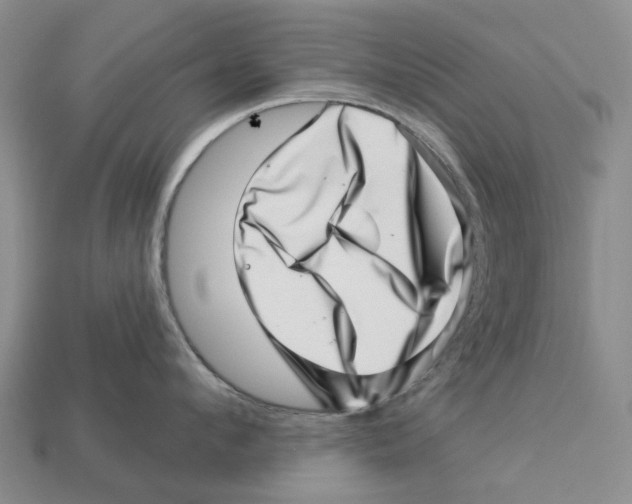 X0000113000912200909241258