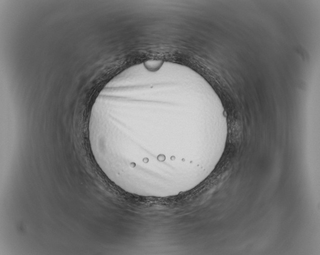 X0000113000913200909241258