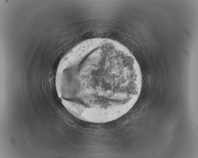 X0000113000914200909241258