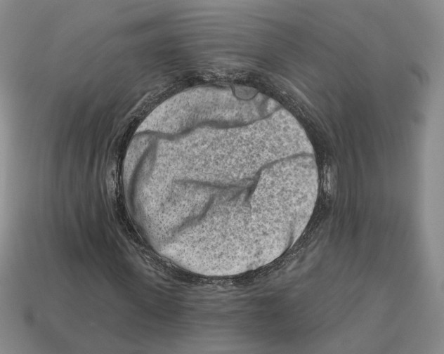 X0000113000915200909241258