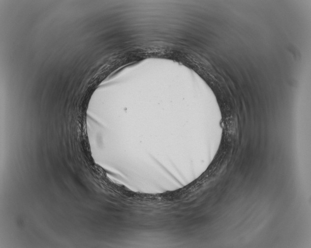 X0000113000916200909241258