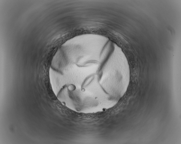 X0000113000917200909241258