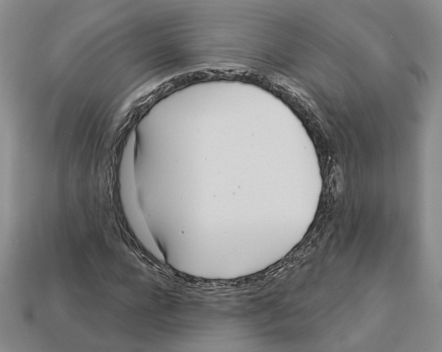 X0000113000920200909241258