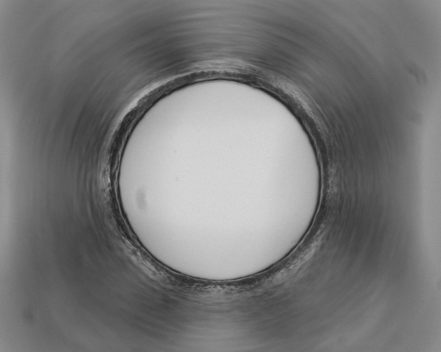 X0000113000923200909241258