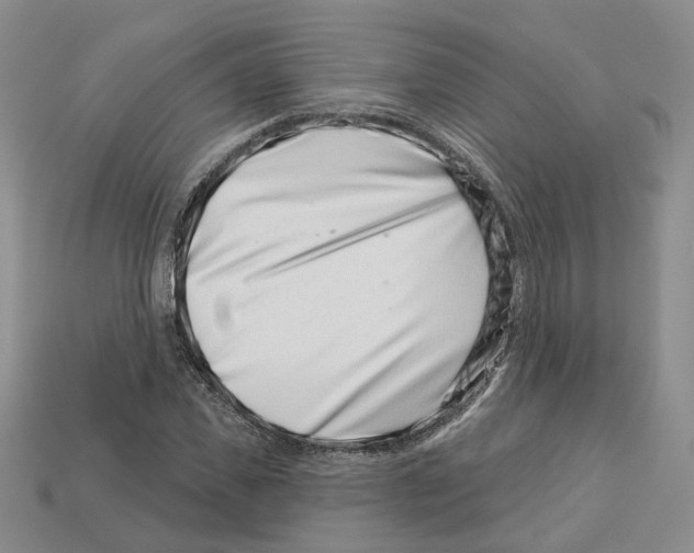 X0000113000925200909241258