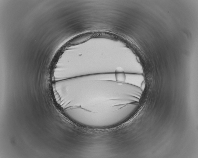 X0000113000926200909241258