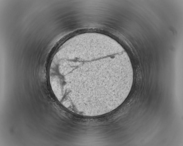 X0000113000927200909241258