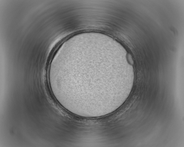 X0000113000928200909241258