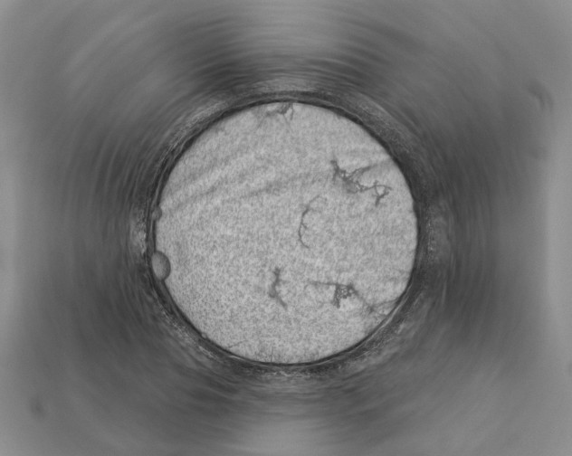 X0000113000929200909241258