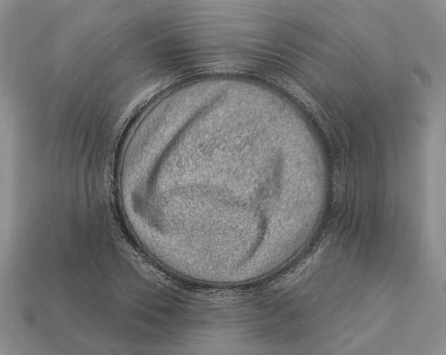 X0000113000930200909241258