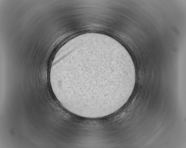 X0000113000931200909241258