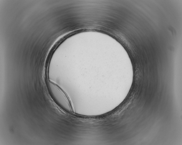 X0000113000932200909241258