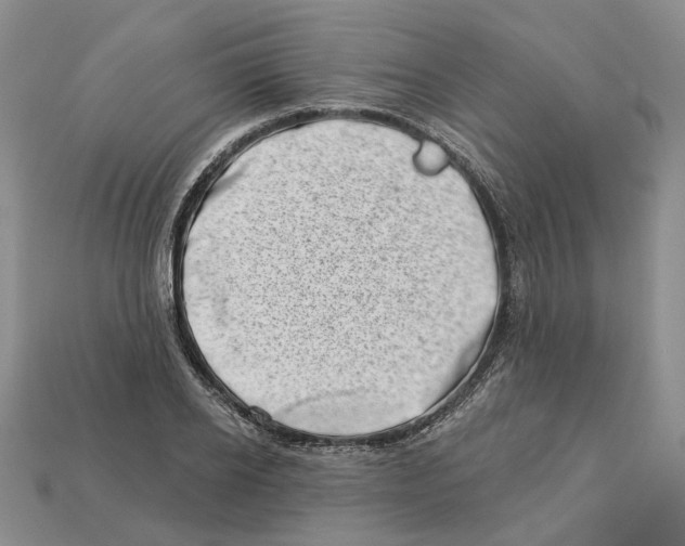 X0000113000934200909241258