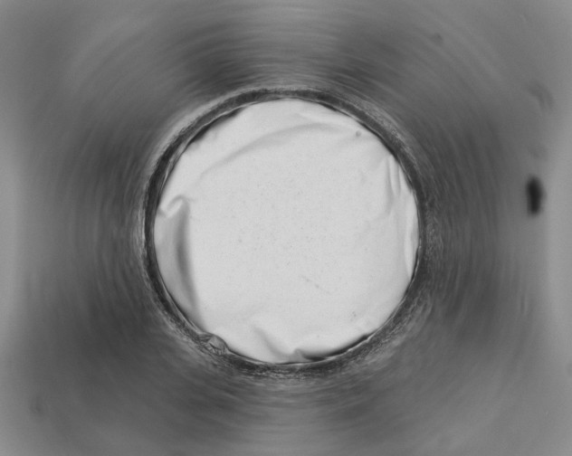 X0000113000935200909241258