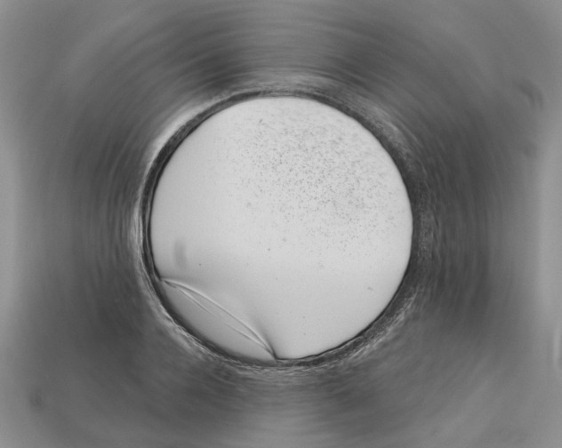 X0000113000936200909241258