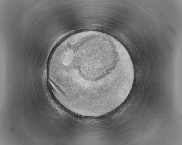 X0000113000940200909241258