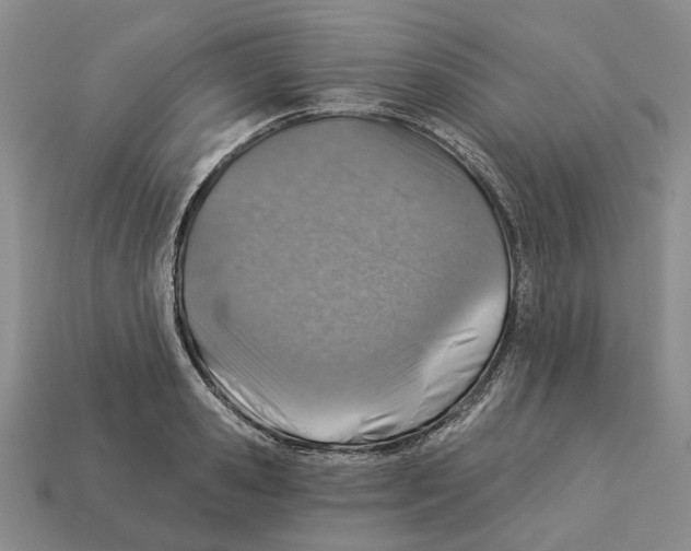 X0000113000941200909241258