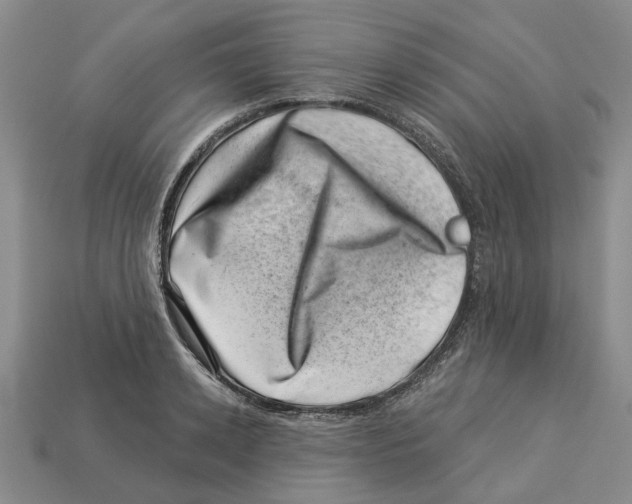 X0000113000942200909241258