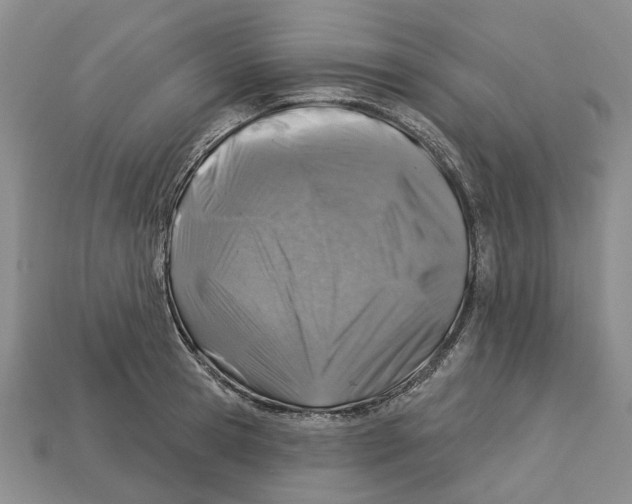 X0000113000945200909241258