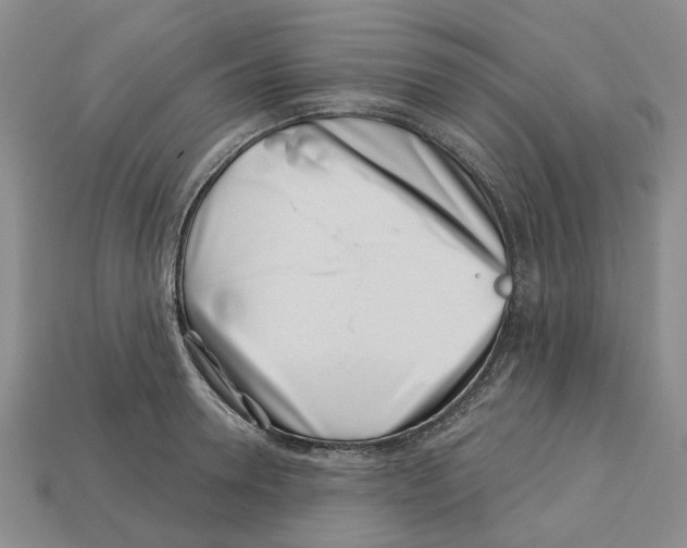 X0000113000946200909241258