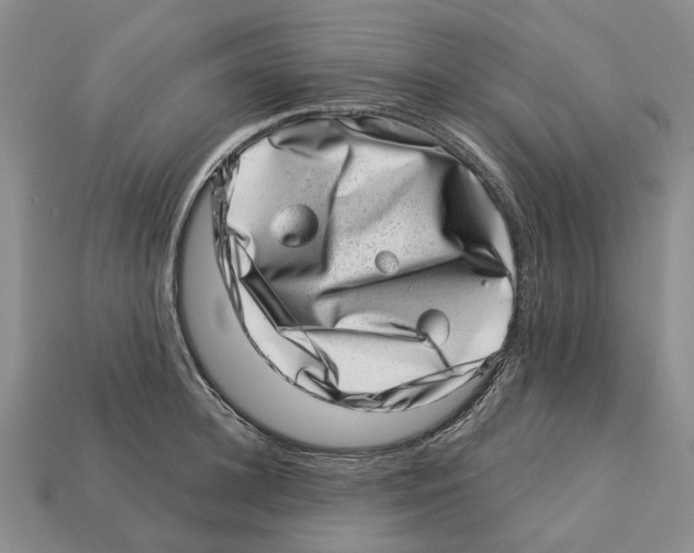 X0000113000948200909241258