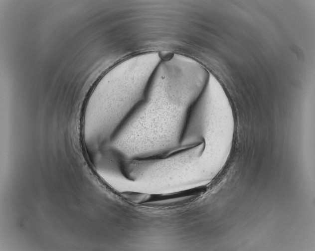 X0000113000949200909241258