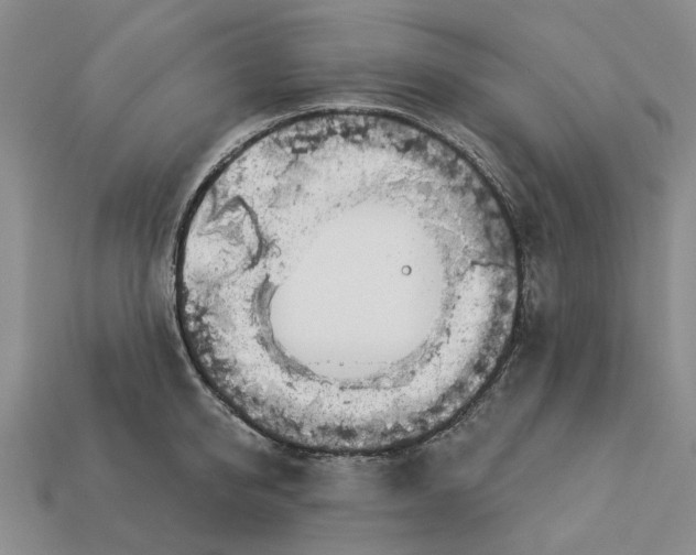 X0000113000950200909241258