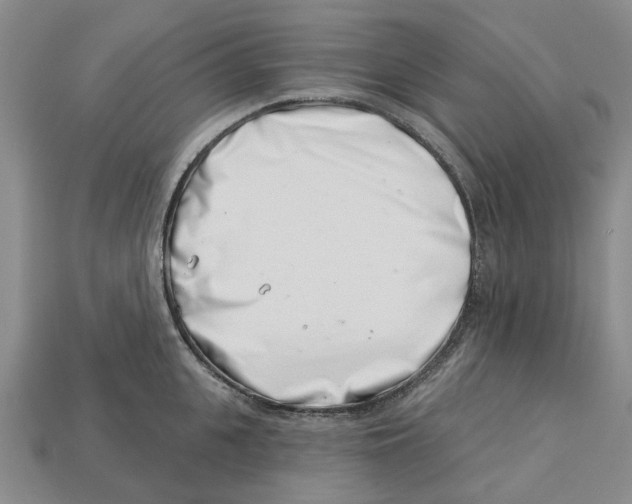 X0000113000951200909241258