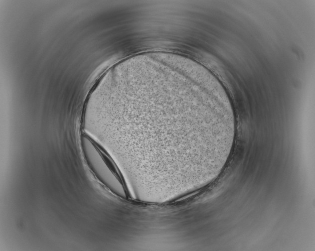 X0000113000954200909241258