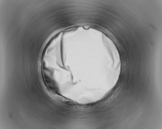 X0000113000955200909241258