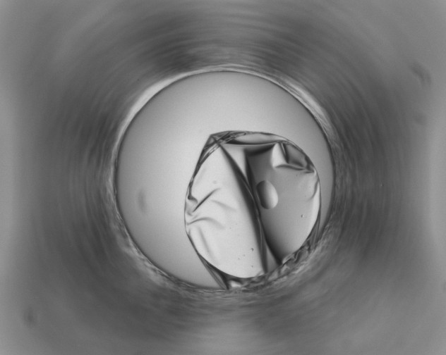 X0000113000956200909241258