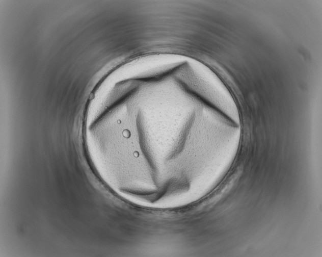 X0000113000957200909241258